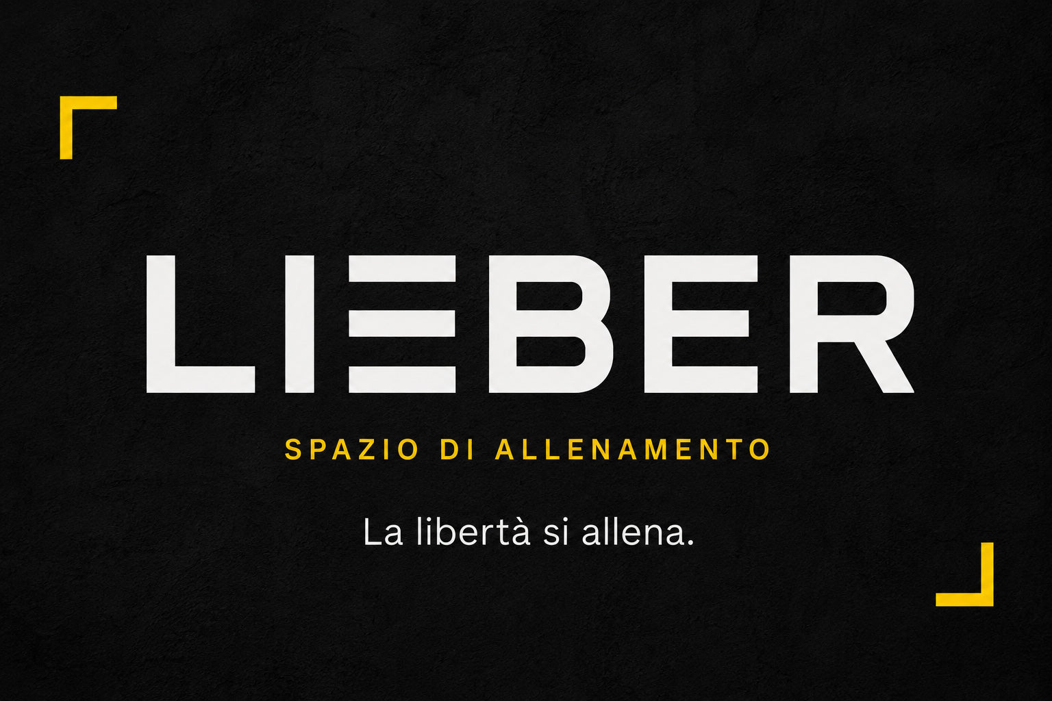 LIEBER - BRAND IDENTITY PALESTRA