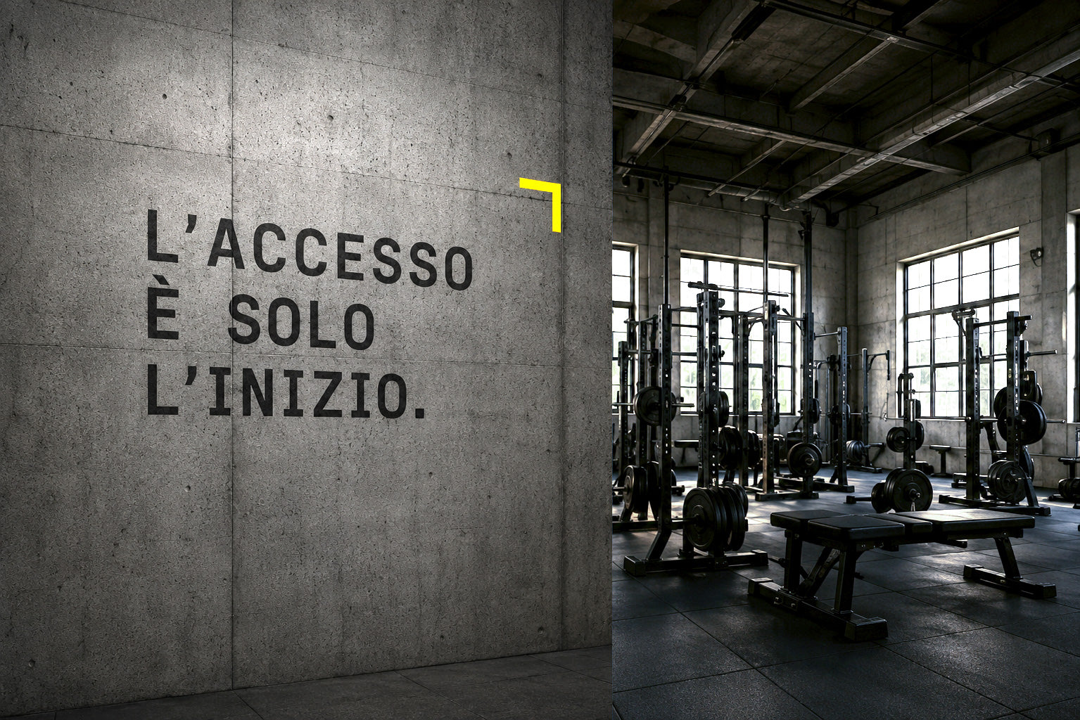 LIEBER - BRAND IDENTITY PALESTRA